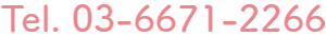 03-6671-2266